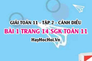 Bài 1 trang 14 Toán 11 tập 2 Cánh Diều
